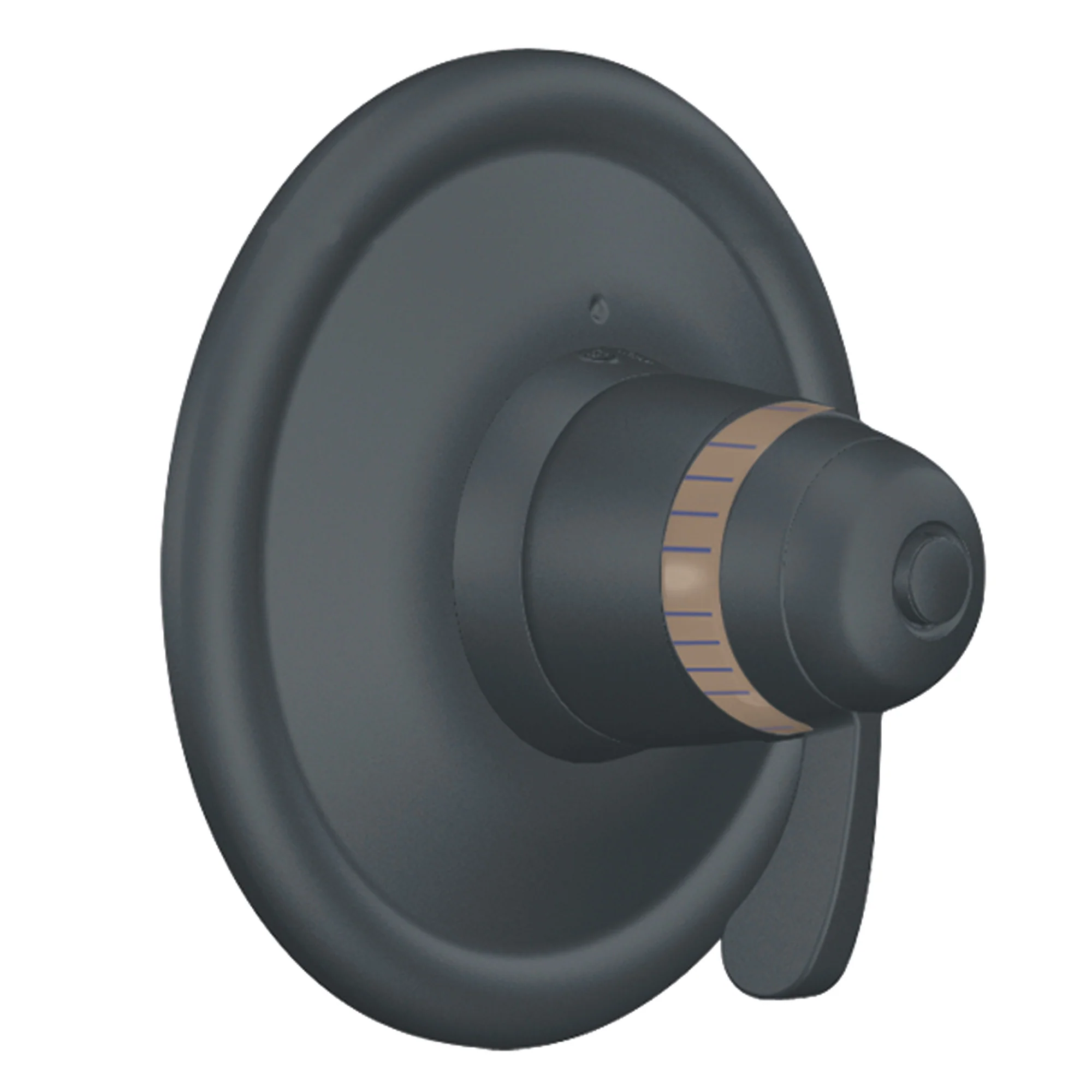 Chrome ExactTemp(R) Valve Trim - Image 13